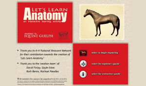 LET'S LEARN ANATOMY